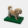 Custom clay pet dog figurine front view – handmade sculpture from photo